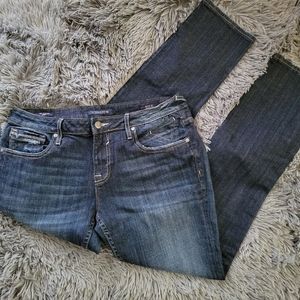 Vigoss Dark wash The Jagger Skinny Jean